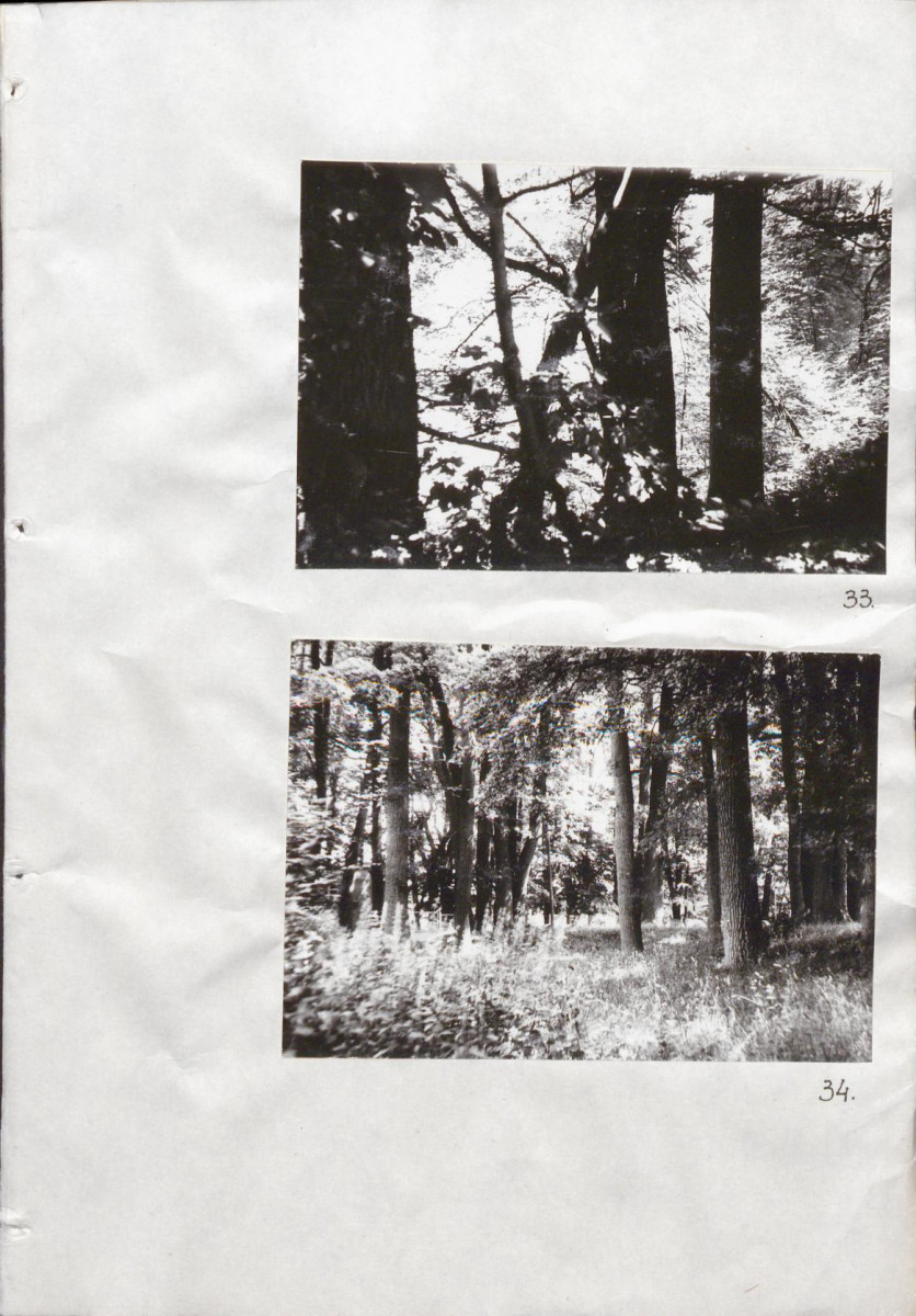Ewidencja parkowa, skan nr 50