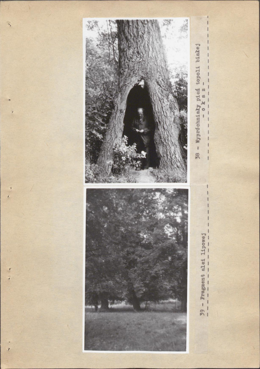 EP - Ewidencja parkowa, skan nr 48