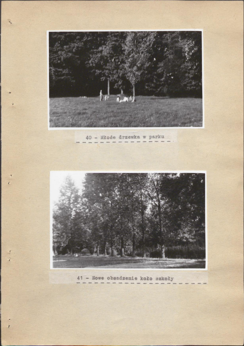 EP - Ewidencja parkowa, skan nr 49