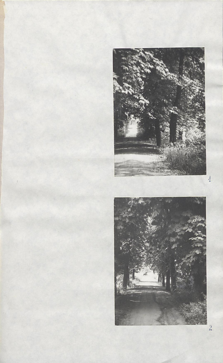 EP - Ewidencja parkowa, skan nr 28