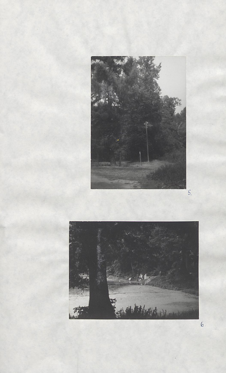 EP - Ewidencja parkowa, skan nr 30