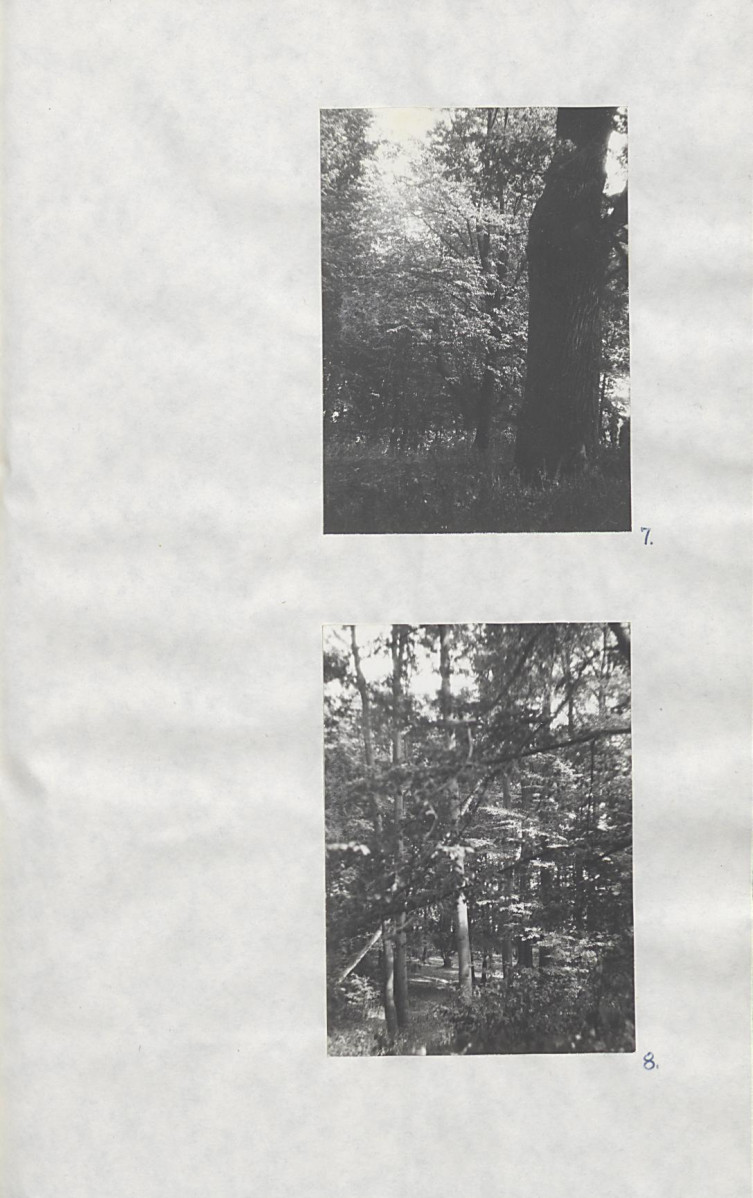 EP - Ewidencja parkowa, skan nr 31