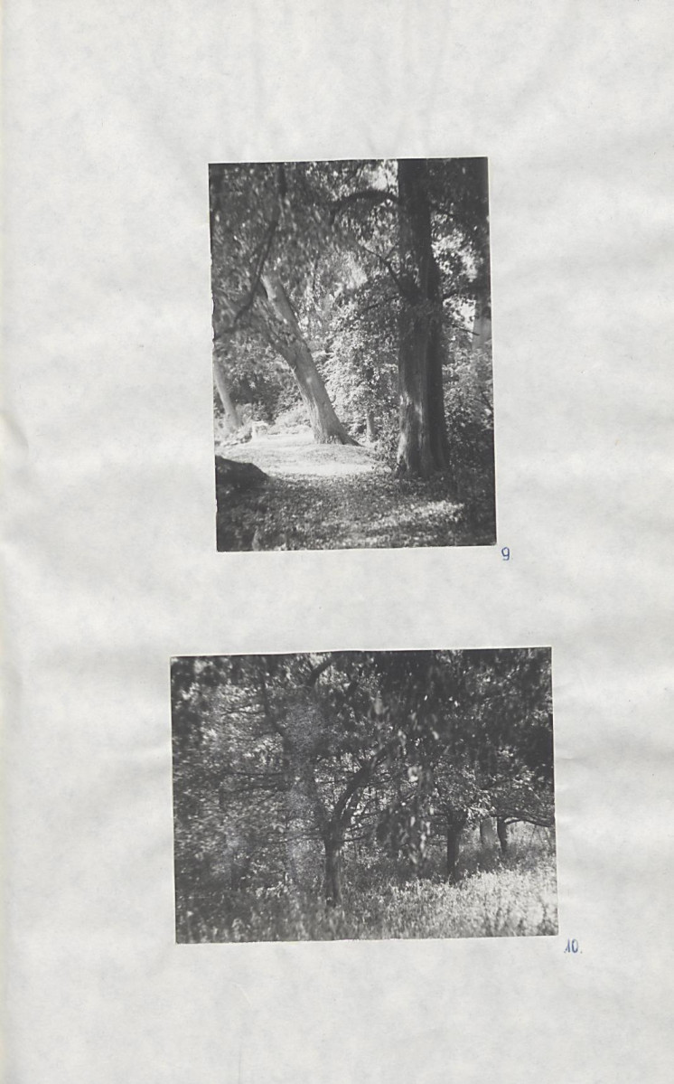 EP - Ewidencja parkowa, skan nr 32