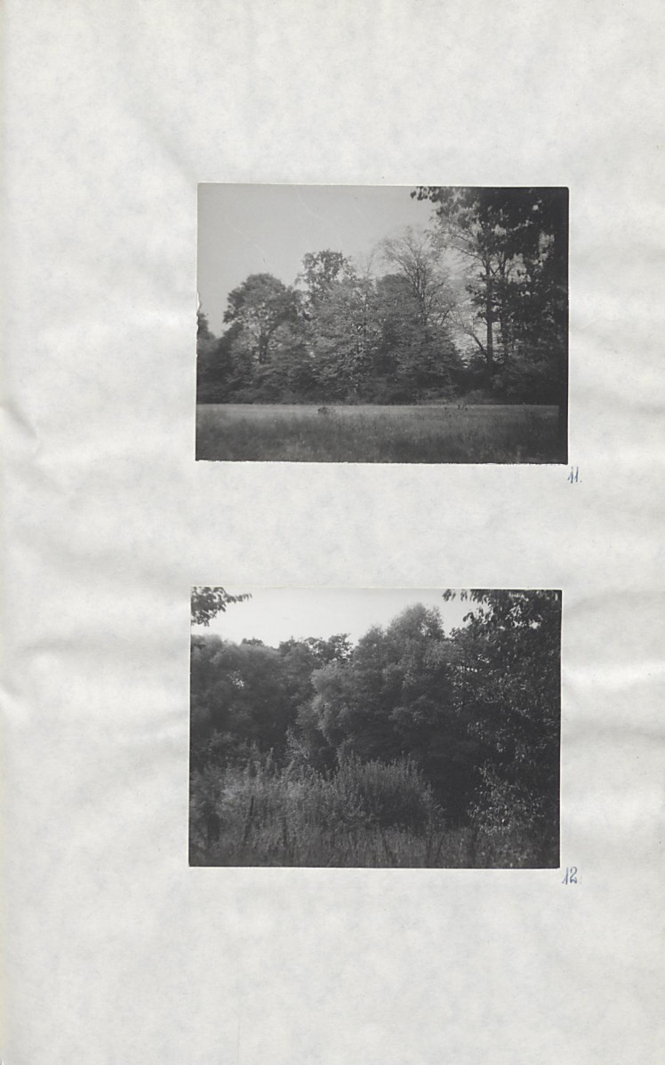 EP - Ewidencja parkowa, skan nr 33