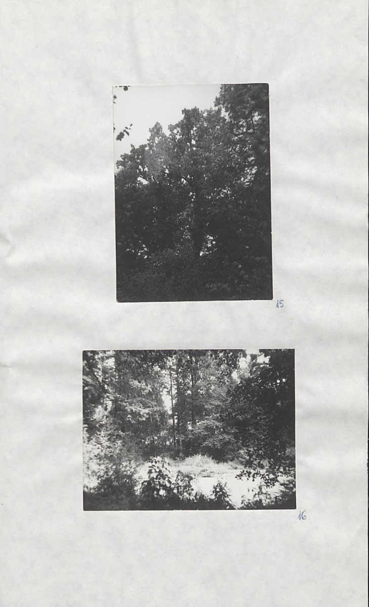 EP - Ewidencja parkowa, skan nr 35