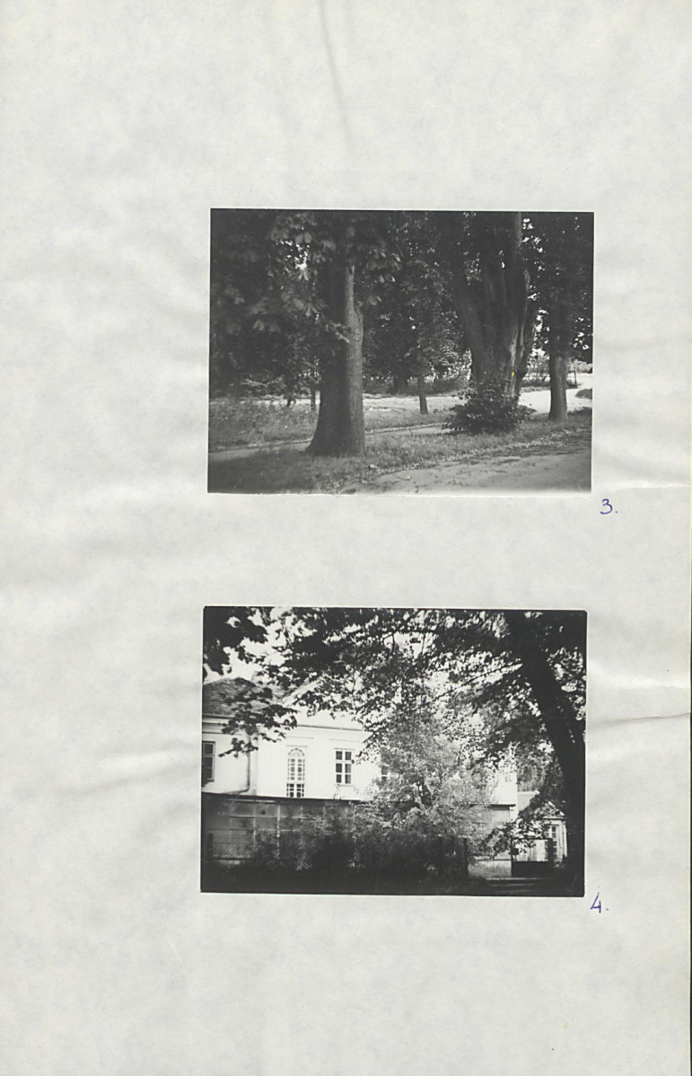 EP - Ewidencja parkowa, skan nr 21
