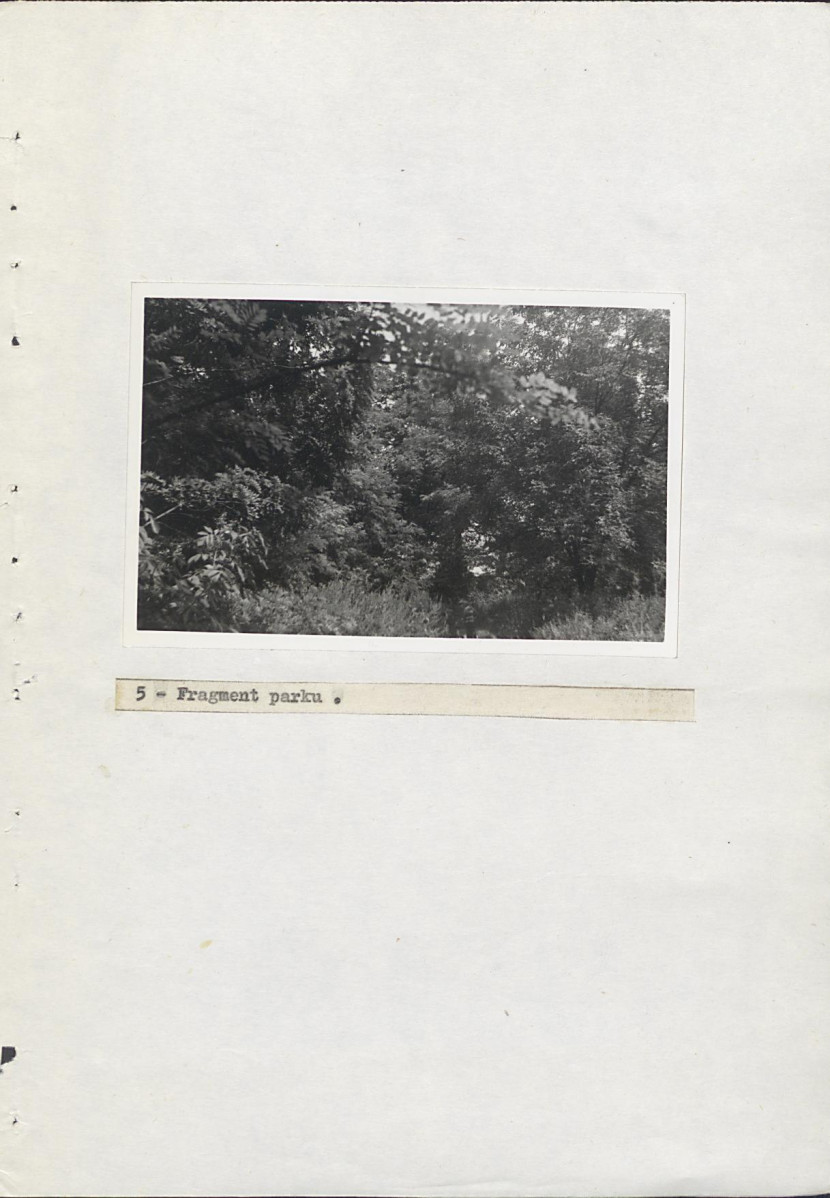 EP - Ewidencja parkowa, skan nr 20