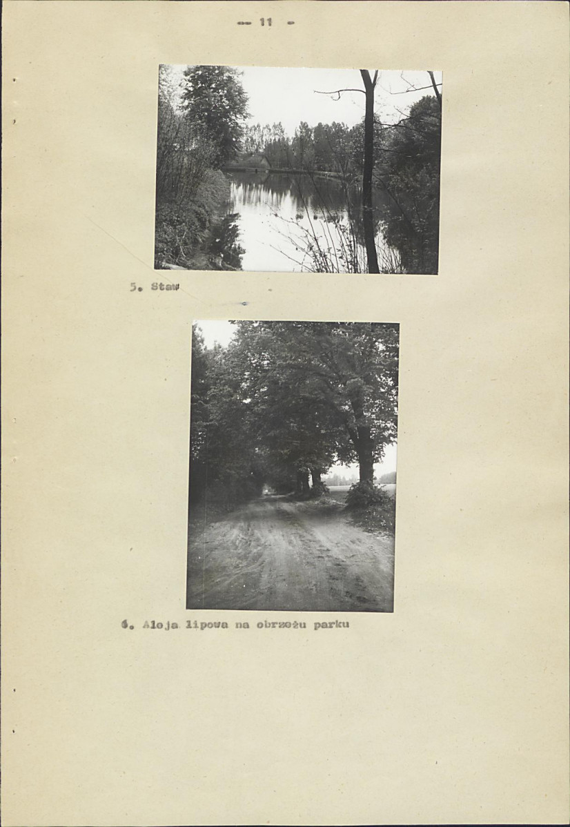 Ewidencja parkowa, skan nr 21