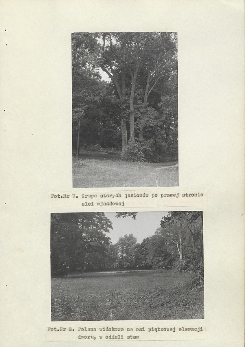 Ewidencja parkowa, skan nr 24