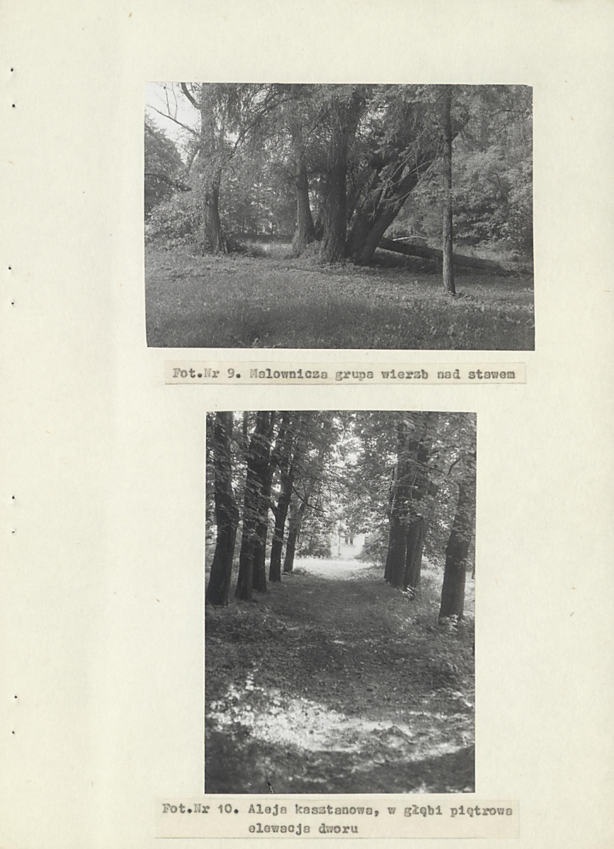 Ewidencja parkowa, skan nr 25