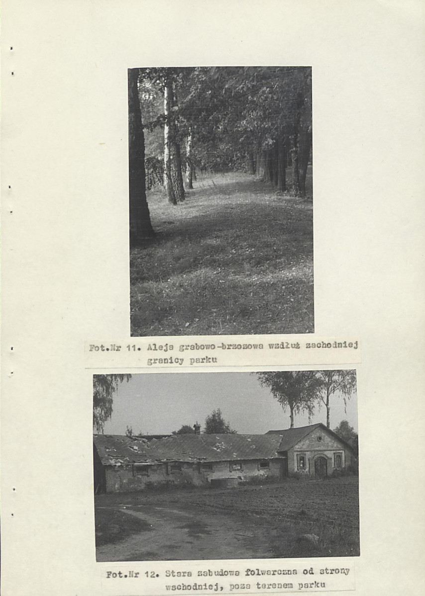 Ewidencja parkowa, skan nr 26