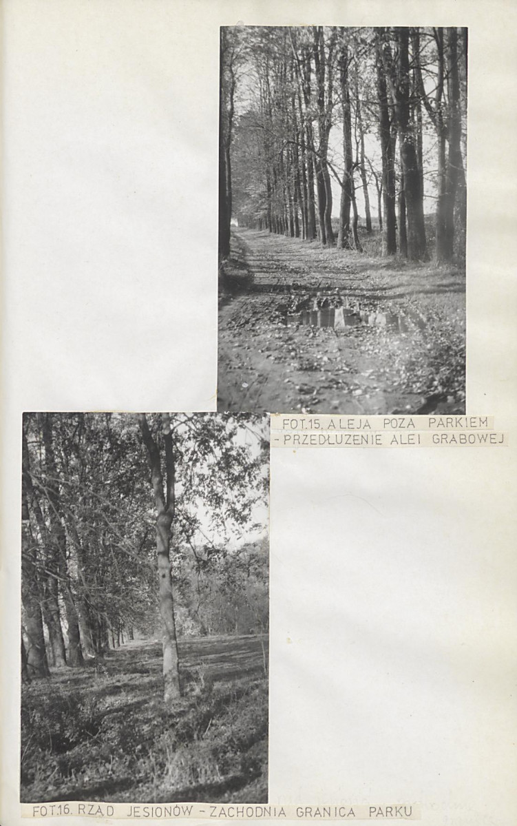 EP - Ewidencja parkowa, skan nr 31