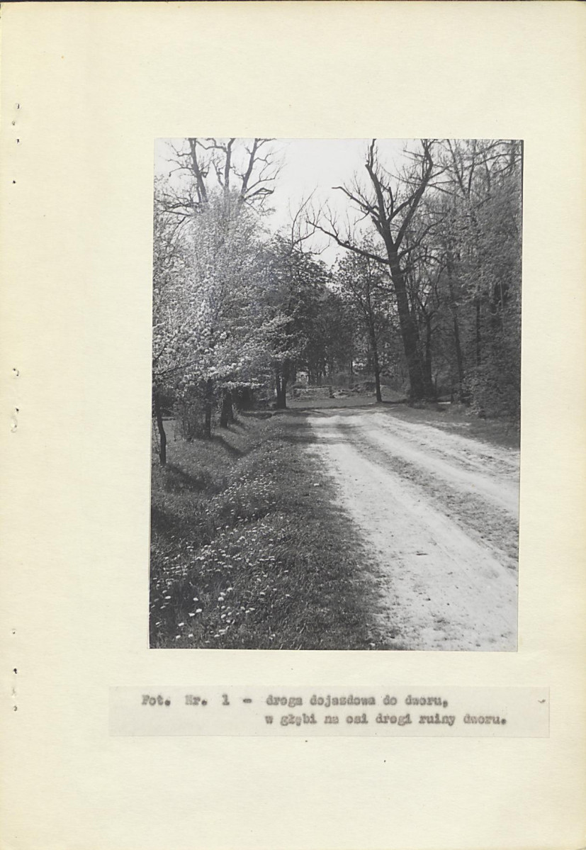 Ewidencja parkowa, skan nr 17