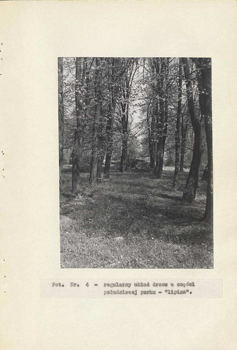 Ewidencja parkowa, skan nr 20