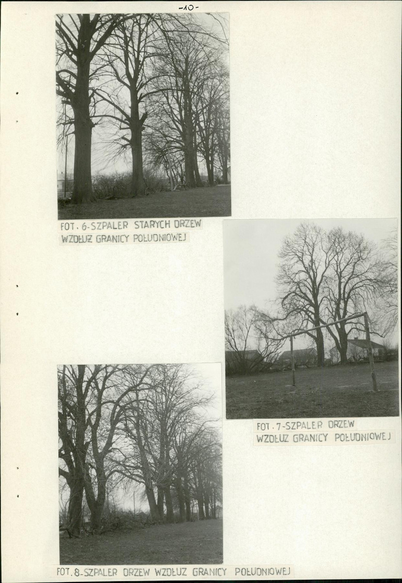 Ewidencja parkowa, skan nr 16