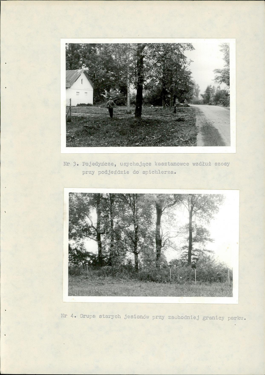 Ewidencja parkowa, skan nr 22