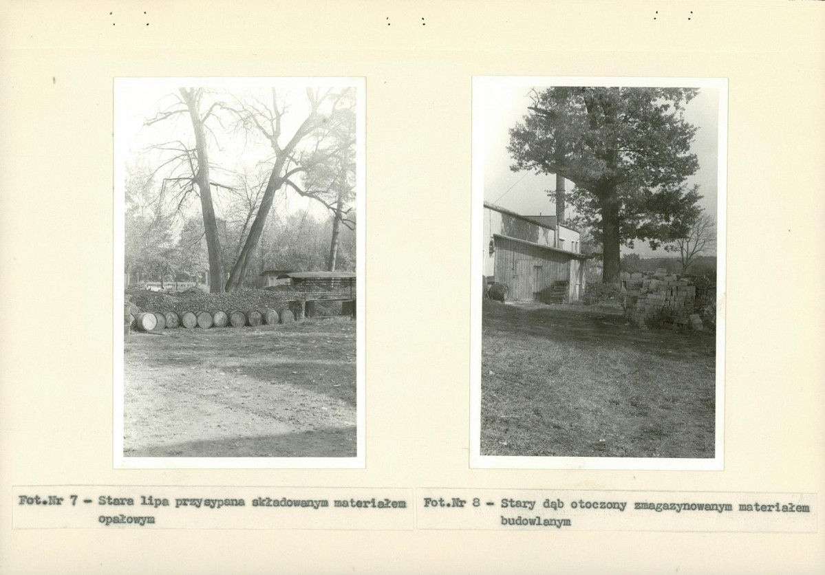 EP - Ewidencja parkowa, skan nr 23