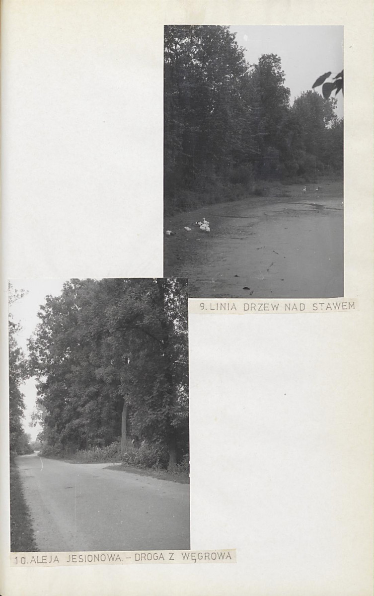 Ewidencja parkowa, skan nr 27