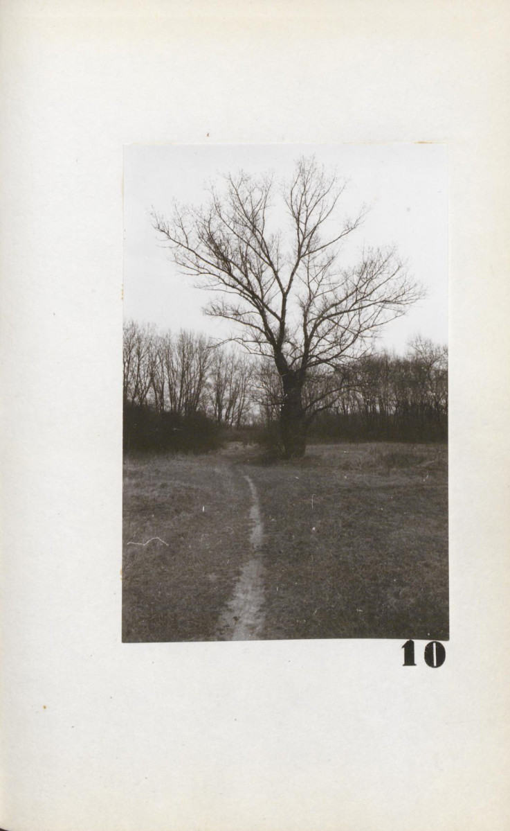 Ewidencja parkowa, skan nr 29