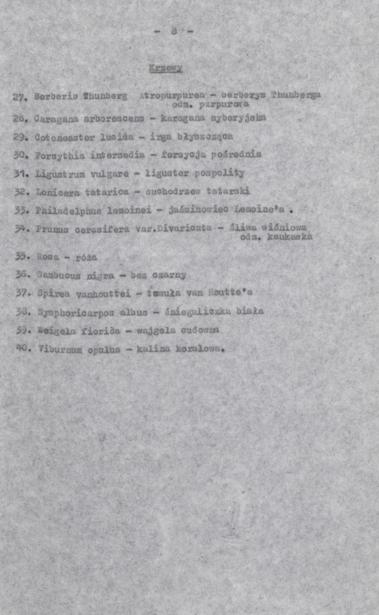 Ewidencja parkowa, skan nr 17