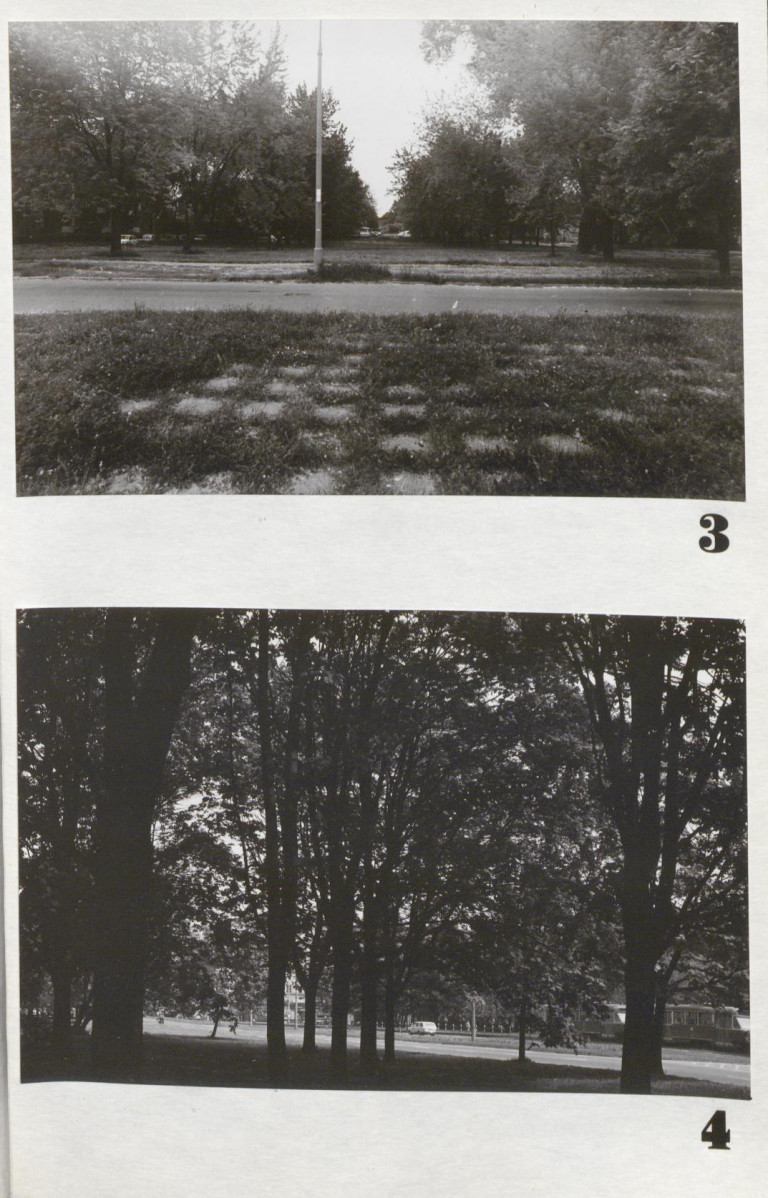 Ewidencja parkowa, skan nr 22
