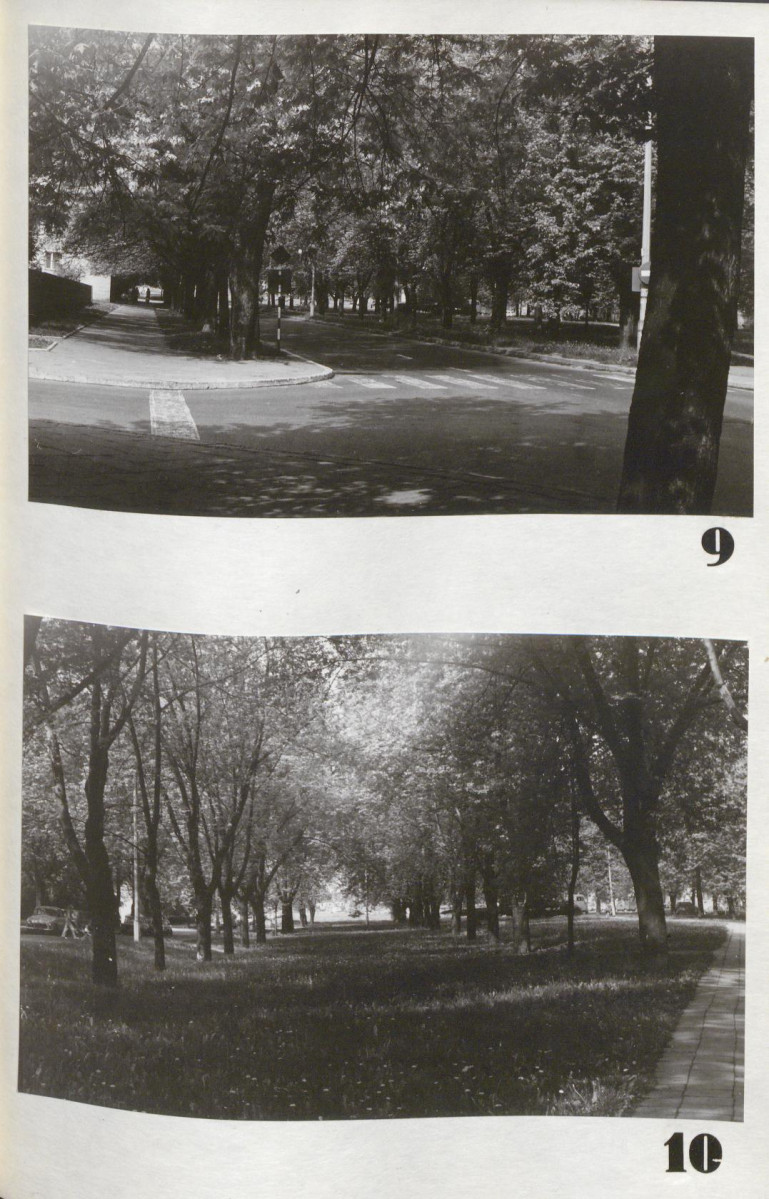 Ewidencja parkowa, skan nr 25