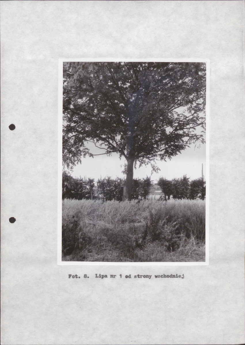 Ewidencja parkowa, skan nr 31