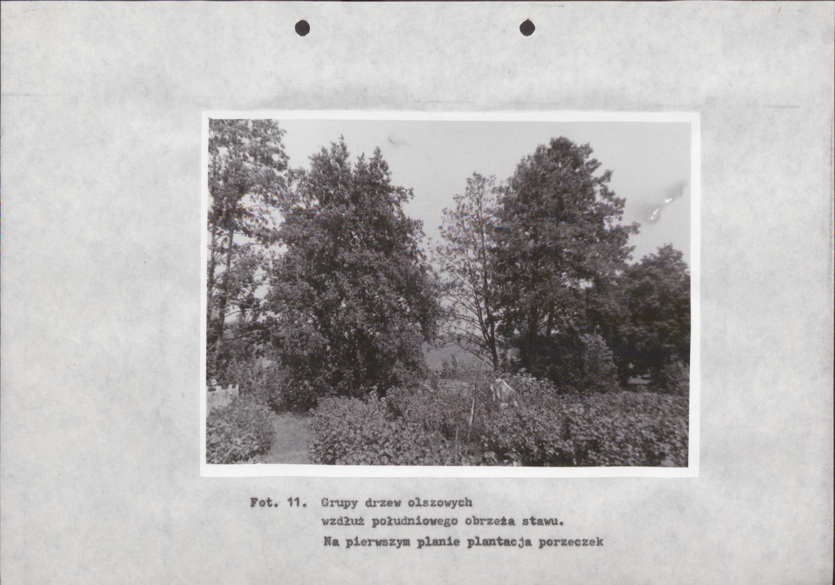 Ewidencja parkowa, skan nr 34