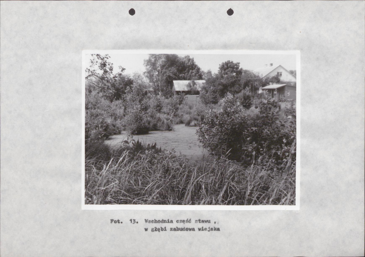 Ewidencja parkowa, skan nr 36