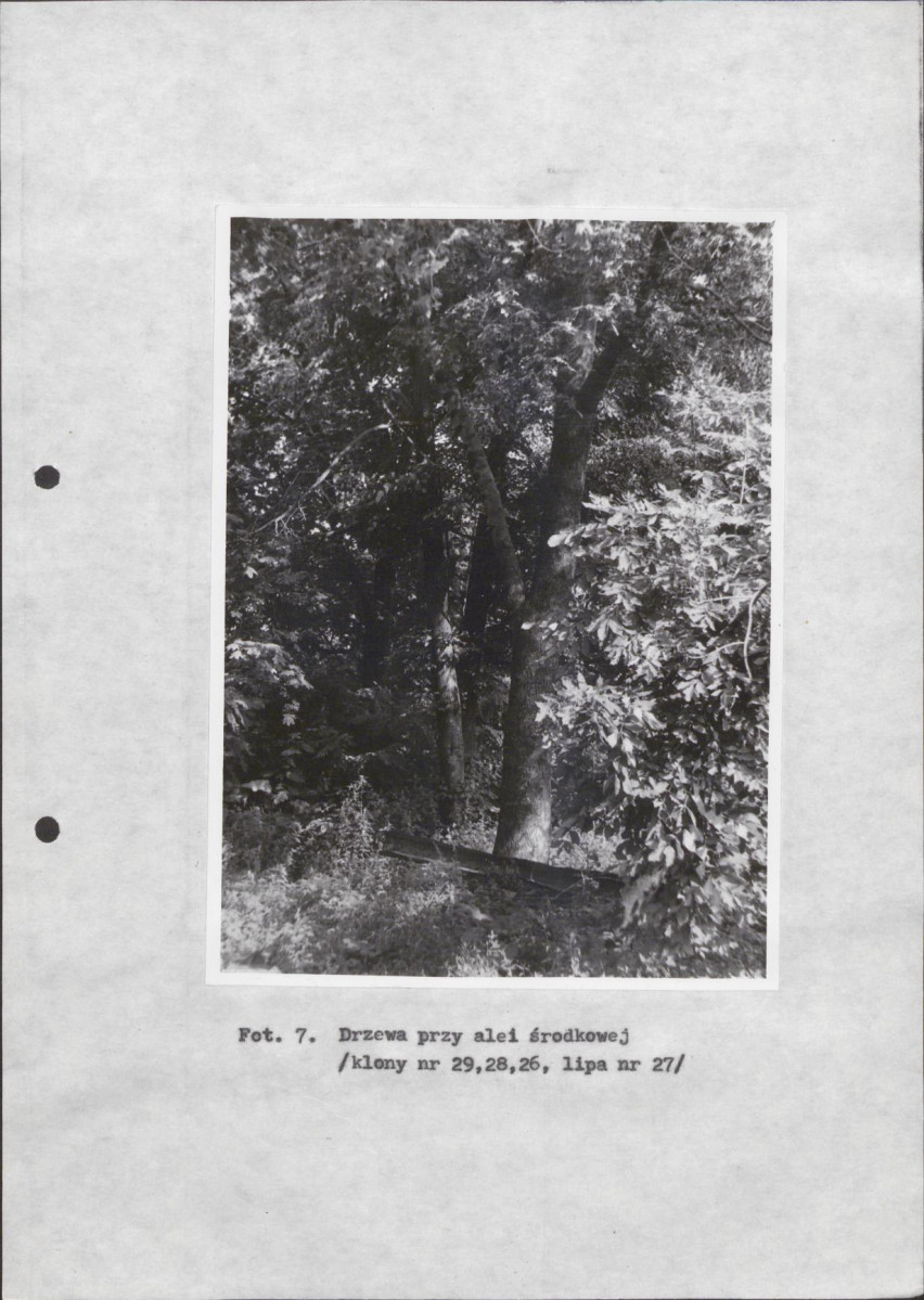 Ewidencja parkowa, skan nr 29