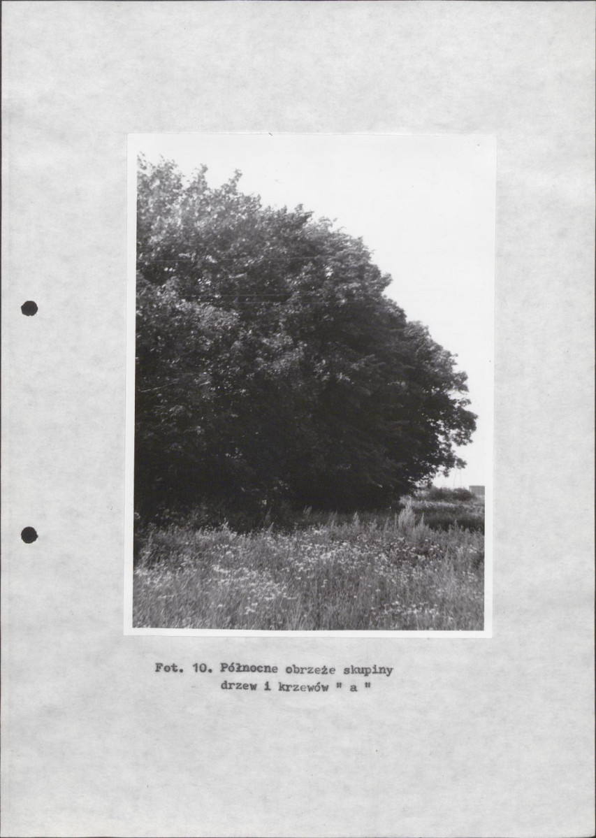 Ewidencja parkowa, skan nr 32