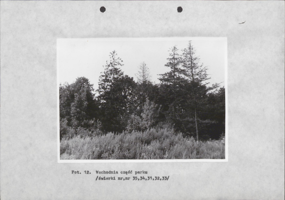 Ewidencja parkowa, skan nr 34