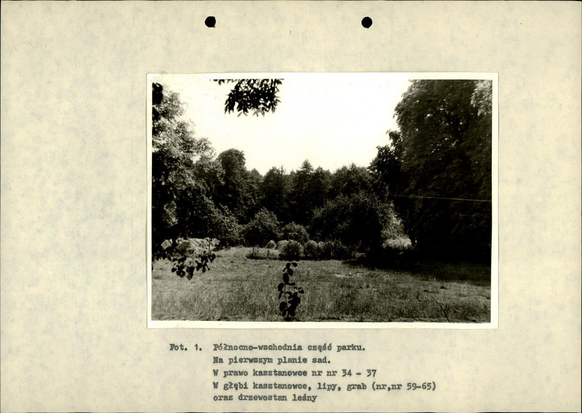 Ewidencja parkowa, skan nr 32