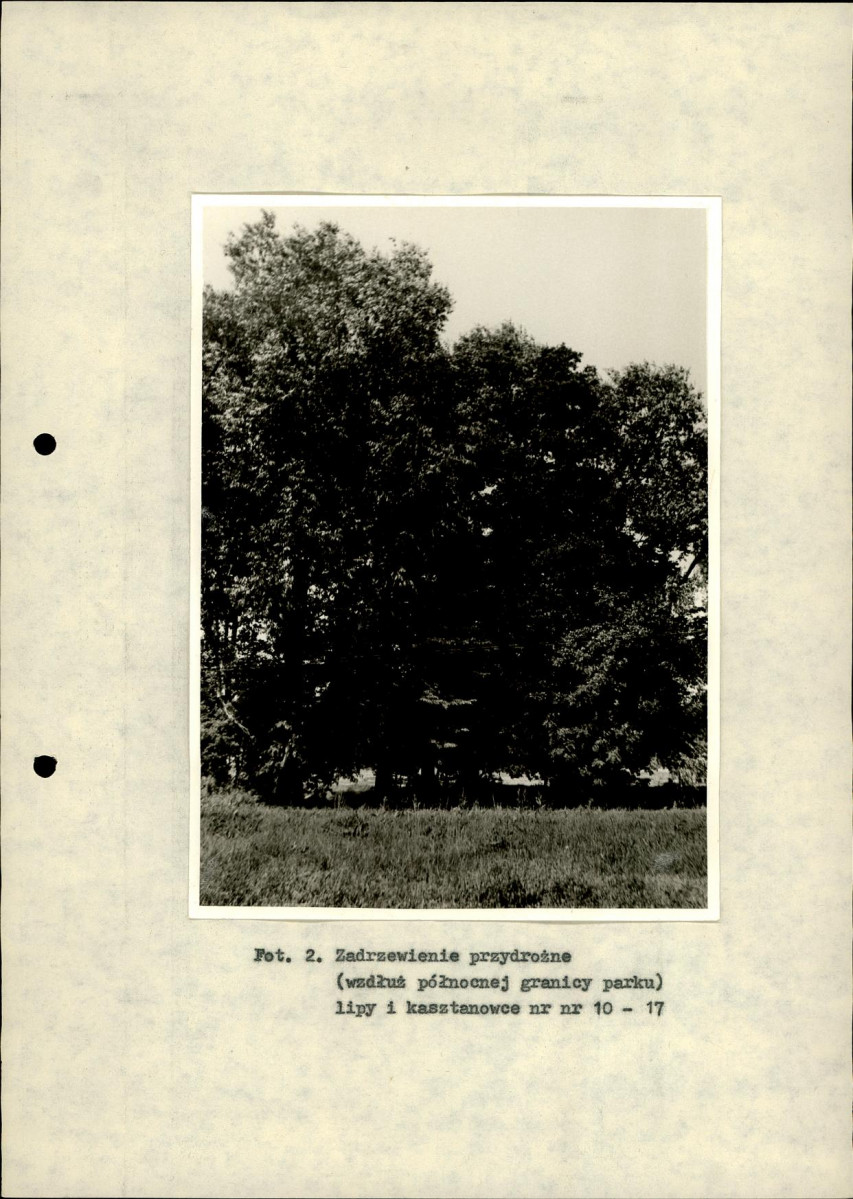 Ewidencja parkowa, skan nr 33