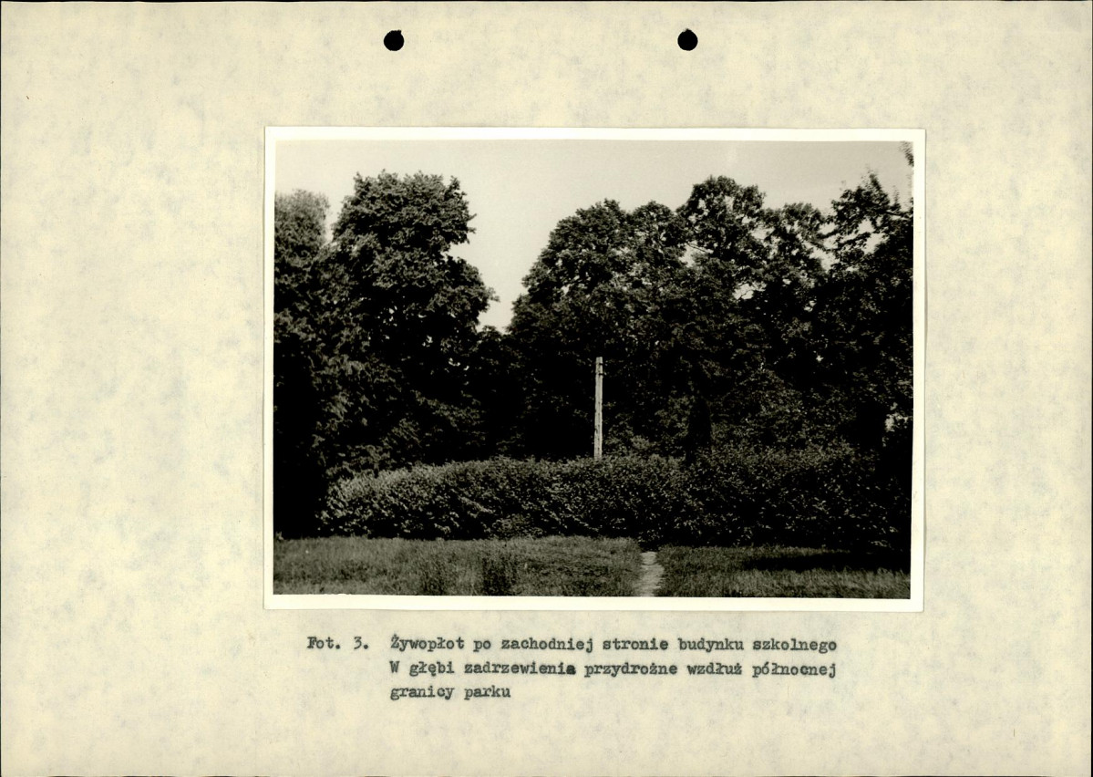 Ewidencja parkowa, skan nr 34