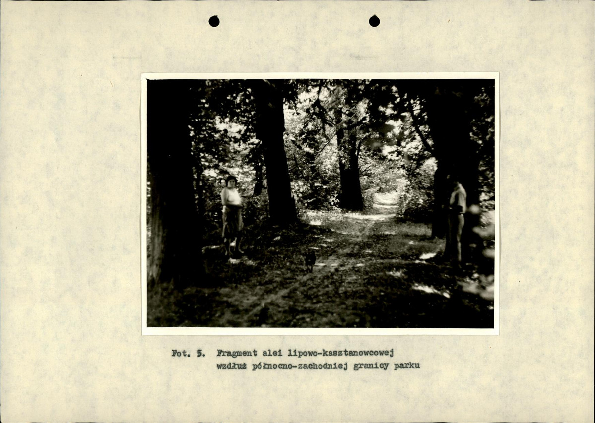 Ewidencja parkowa, skan nr 36