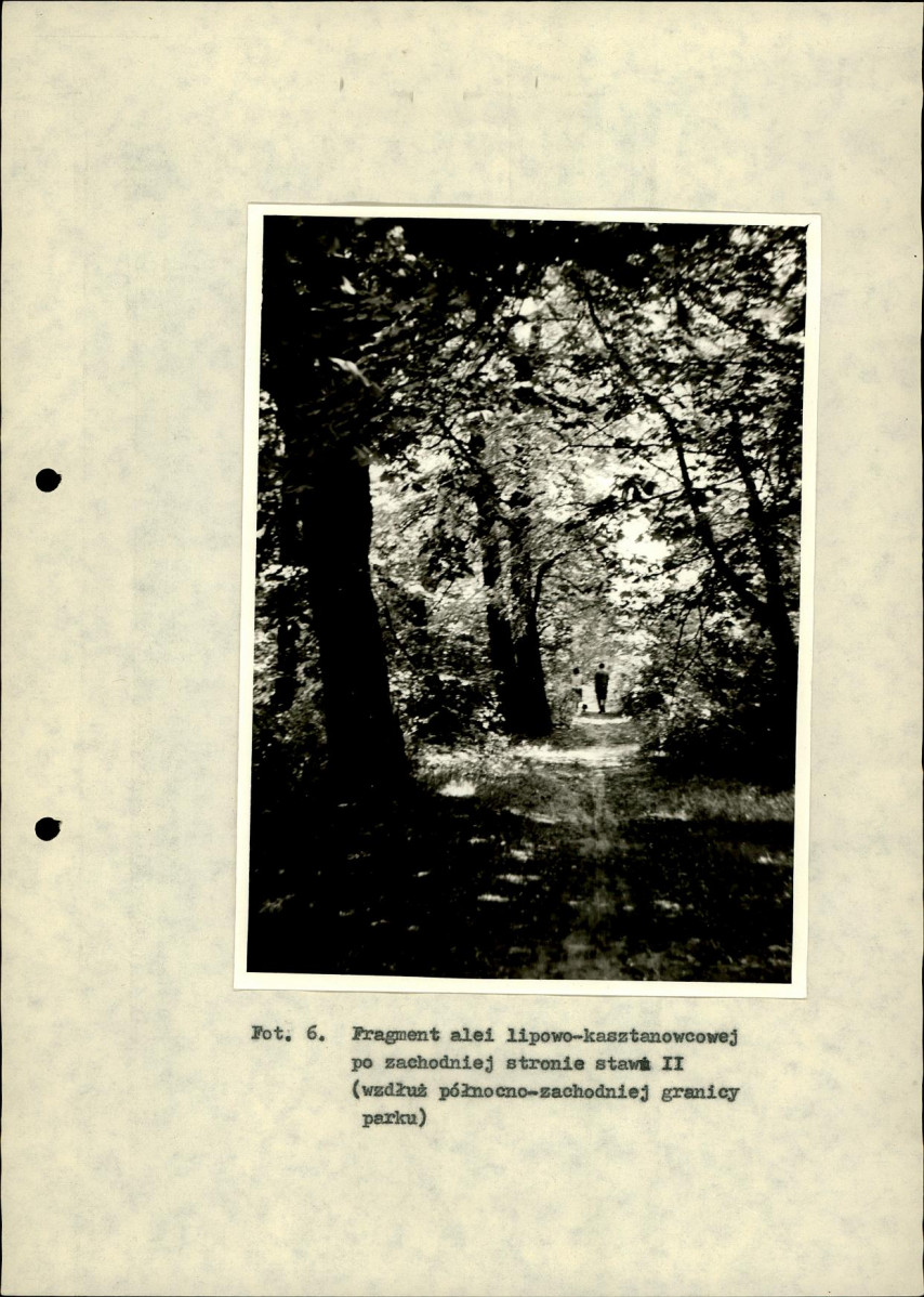 Ewidencja parkowa, skan nr 37