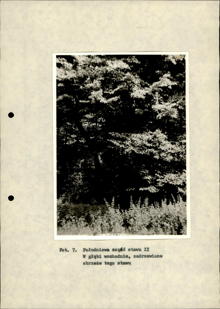 Ewidencja parkowa, skan nr 38