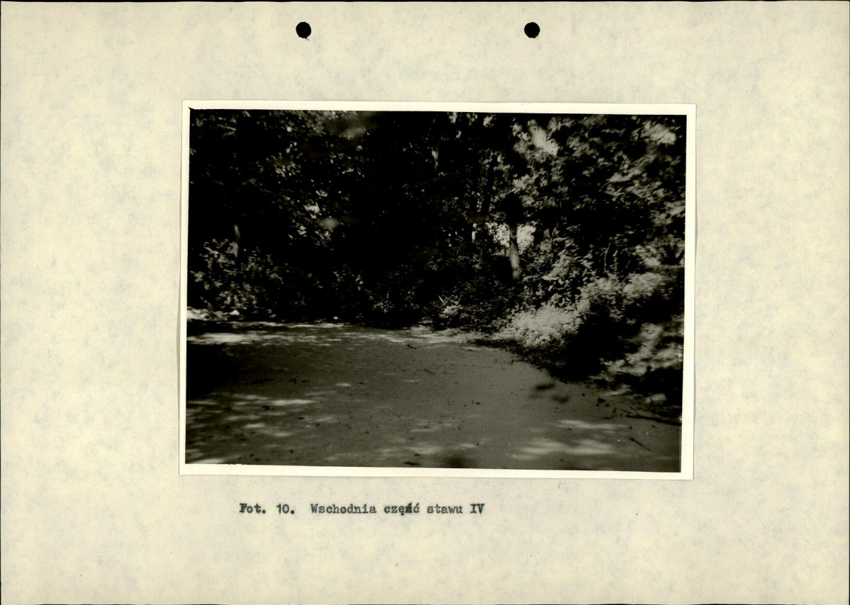 Ewidencja parkowa, skan nr 41