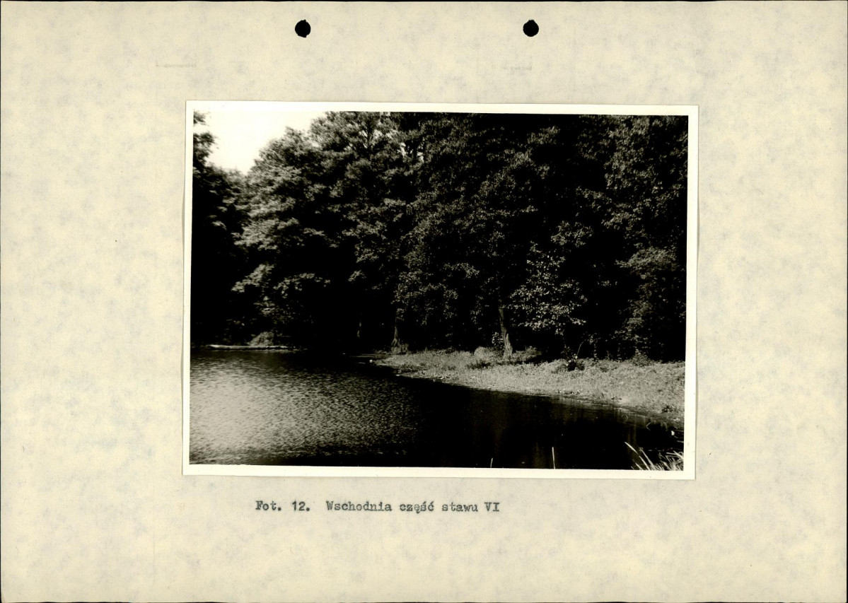 Ewidencja parkowa, skan nr 43