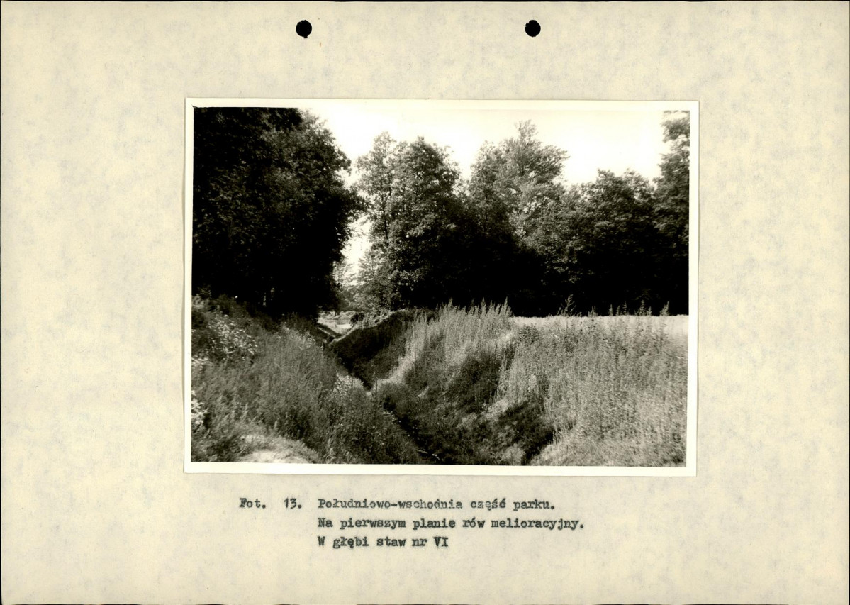 Ewidencja parkowa, skan nr 44
