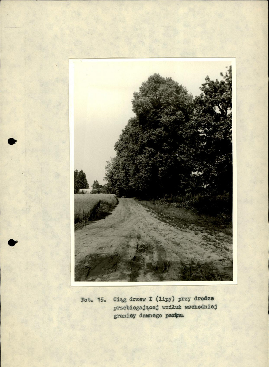 Ewidencja parkowa, skan nr 46