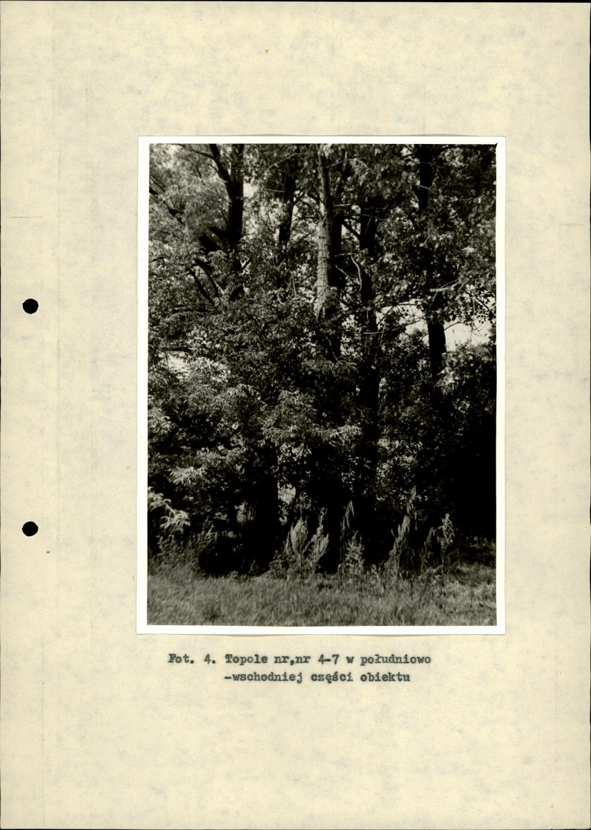 Ewidencja parkowa, skan nr 23