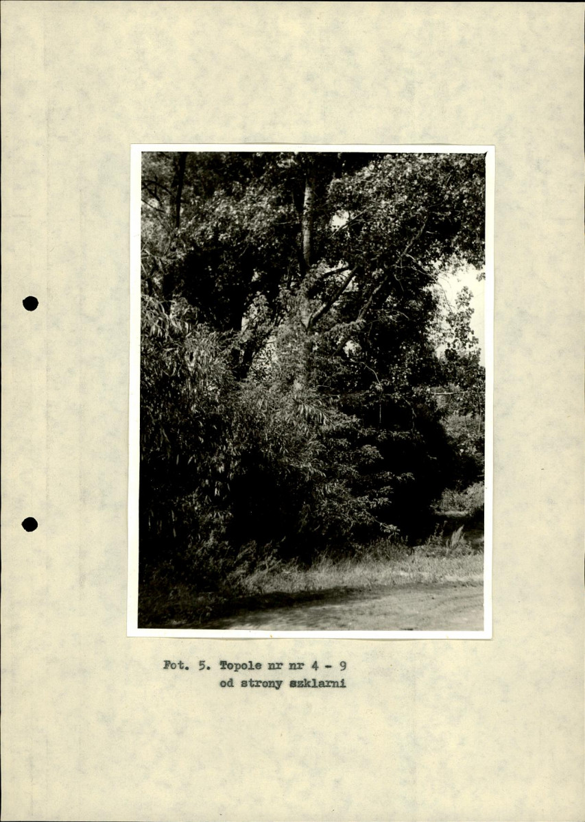 Ewidencja parkowa, skan nr 24