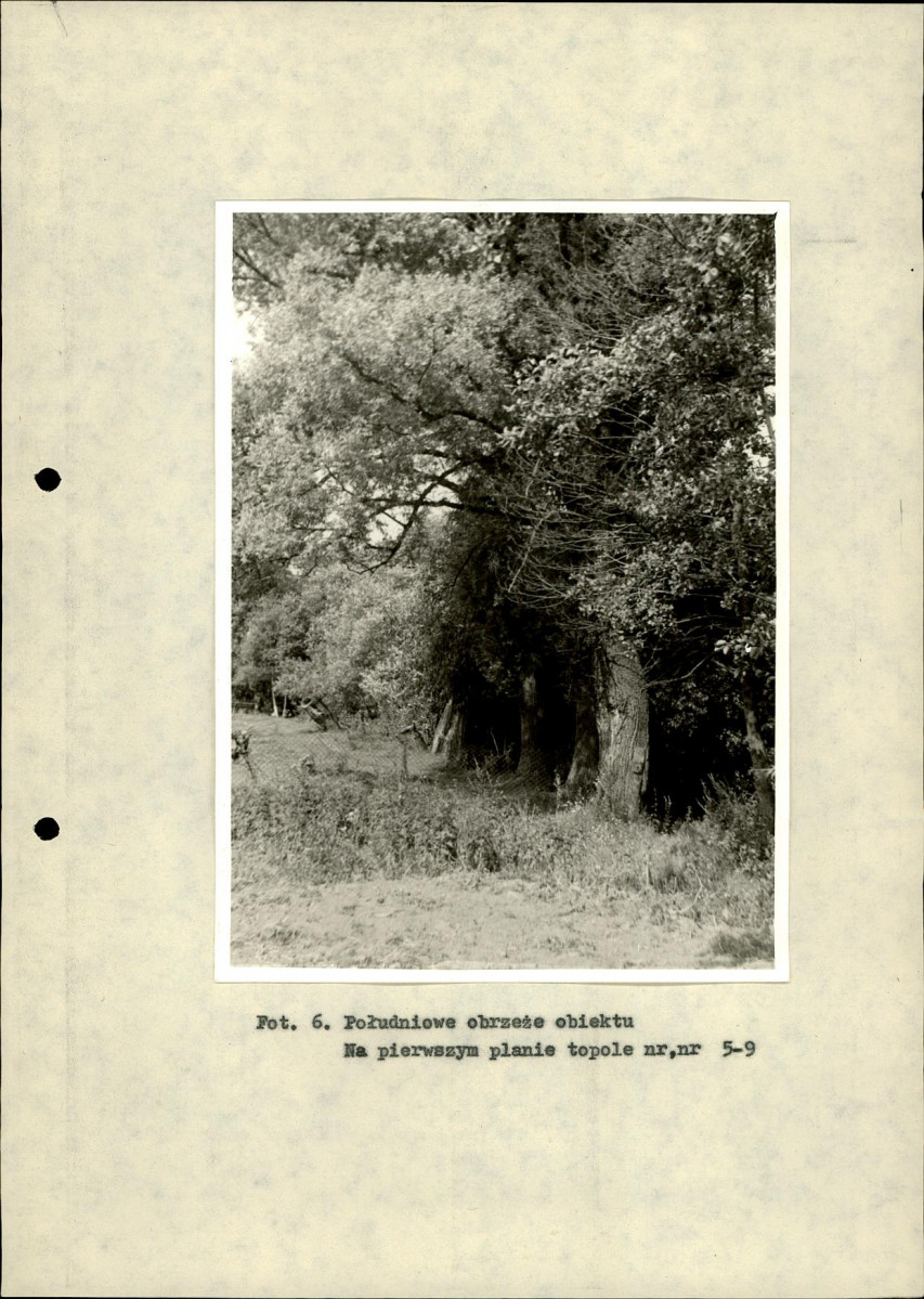 Ewidencja parkowa, skan nr 25