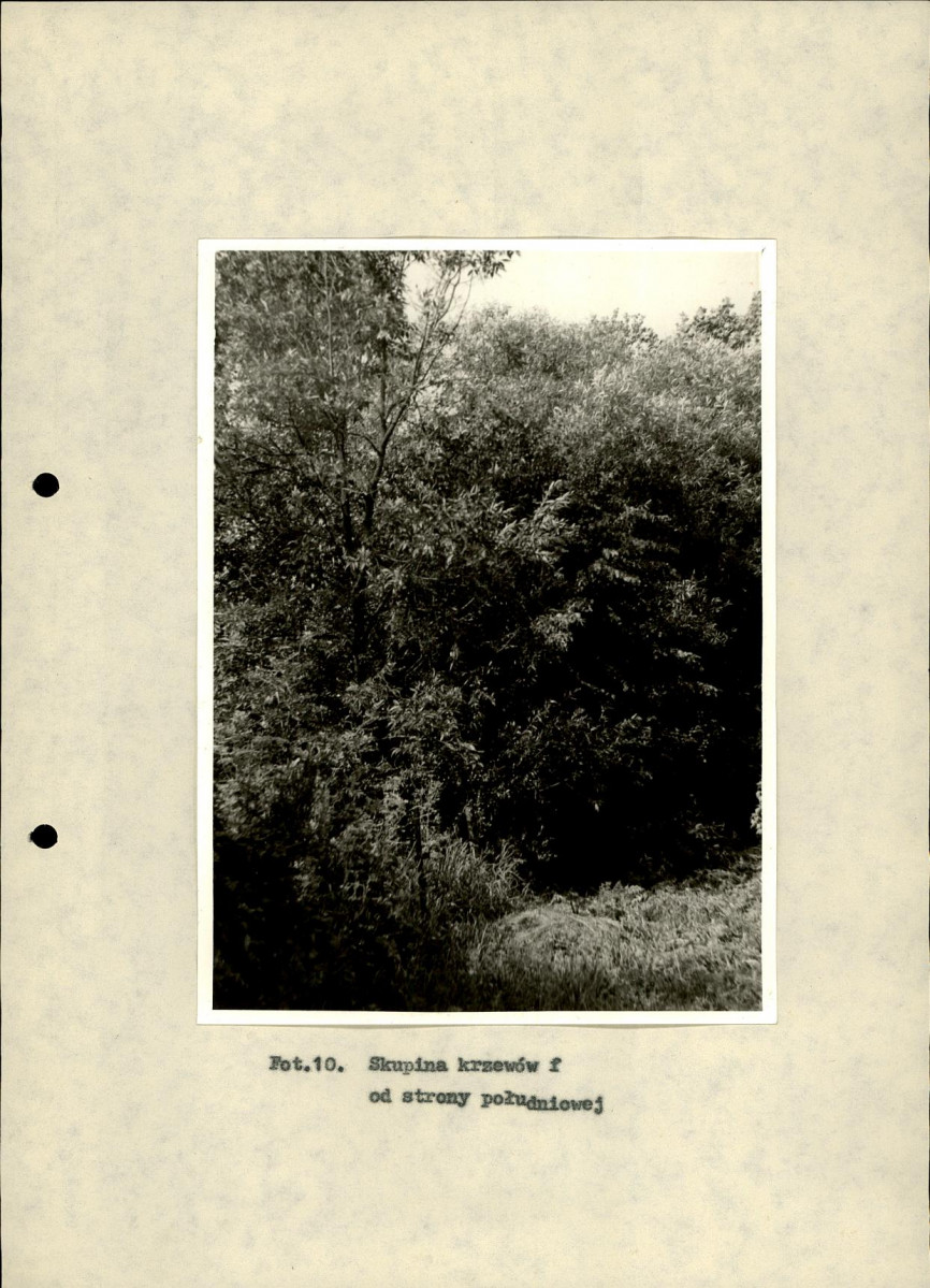 Ewidencja parkowa, skan nr 29