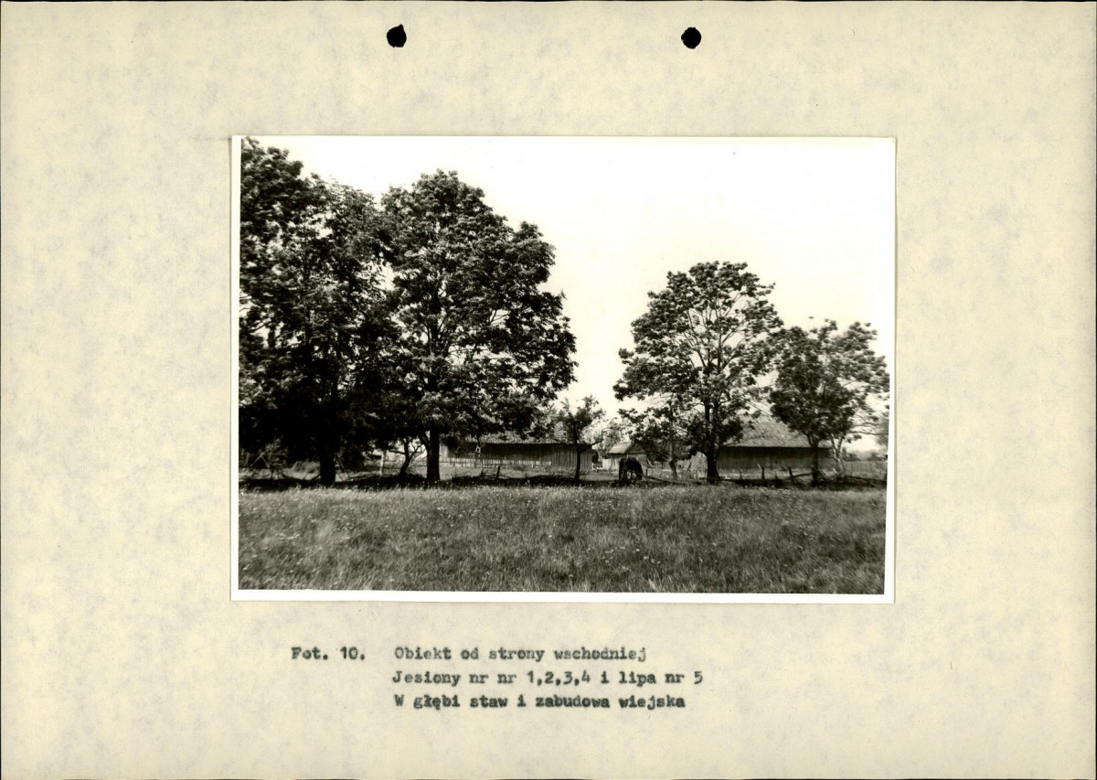 Ewidencja parkowa, skan nr 28