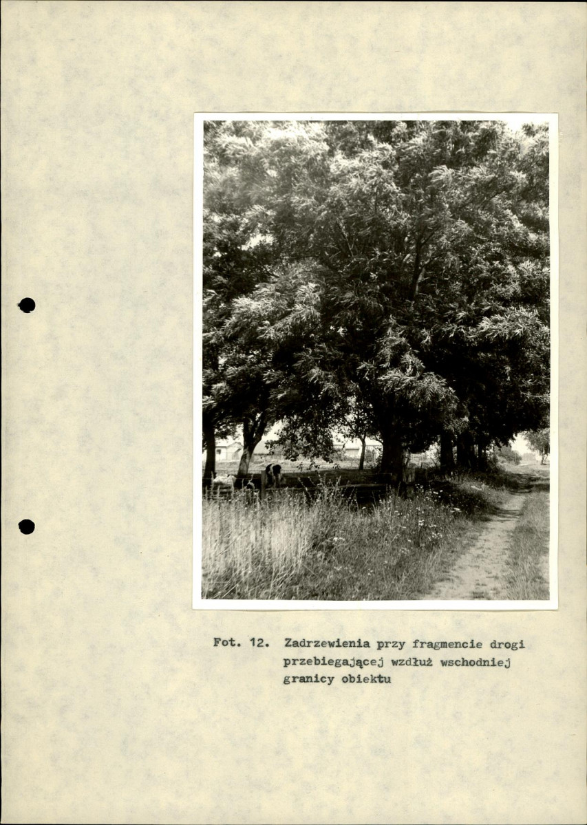 Ewidencja parkowa, skan nr 30
