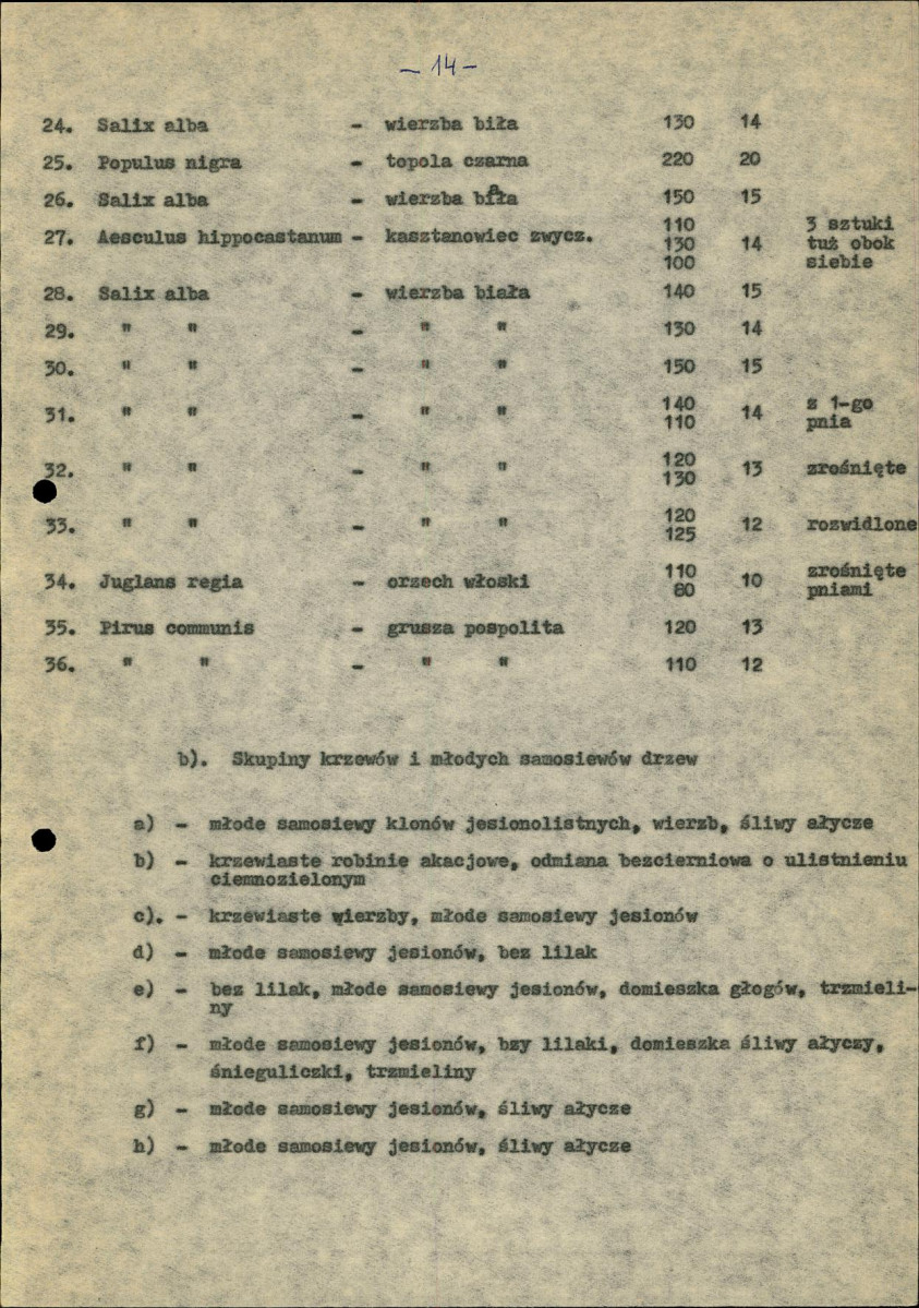 Ewidencja parkowa, skan nr 17