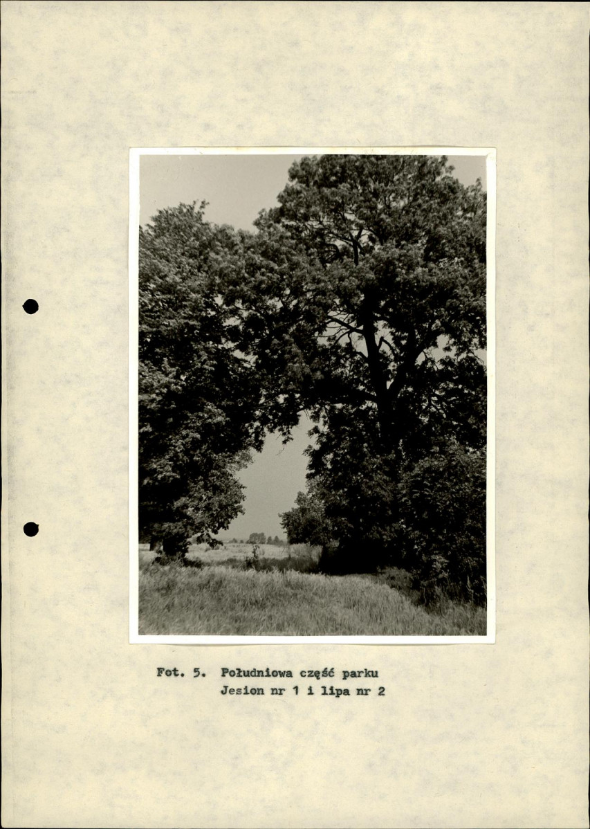 Ewidencja parkowa, skan nr 28